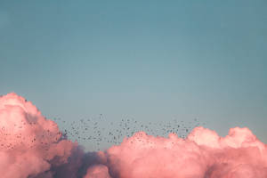 Denser Clouds Photo From A Plane Window Wallpaper