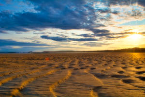 Desert During A Calming Golden Hour Wallpaper