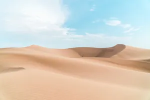 Desert Field Hd Landscape Desktop Wallpaper