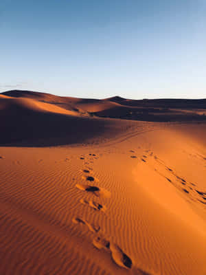 Desert Roads And Limitless Horizons Are Perfect For Getting Lost And Finding Yourself. Wallpaper