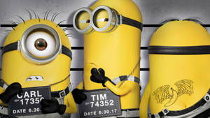 Despicable Me Funny Minions Wallpaper