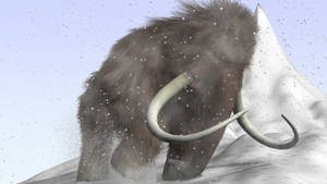 Determined Mammoth Conquering Blizzard Wallpaper