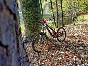 Devinci Mountain Bike At Forest Wallpaper