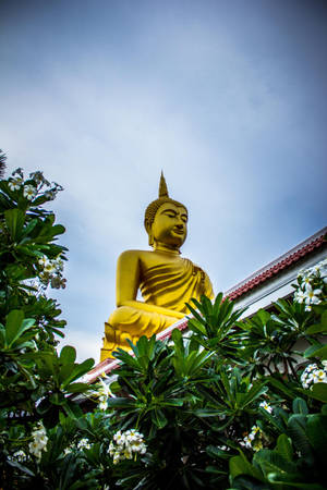 Dharma In Nature - The Golden Buddha Behind Leaves Wallpaper