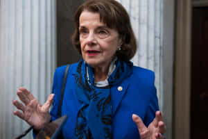 Dianne Feinstein Explaining Wallpaper
