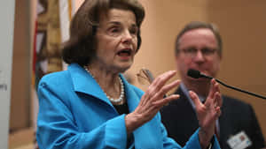 Dianne Feinstein Explaining With Her Hands Wallpaper