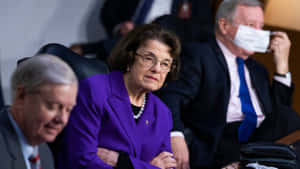 Dianne Feinstein In Purple Suit Wallpaper