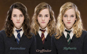 Different Representations Of Hermione Granger Wallpaper