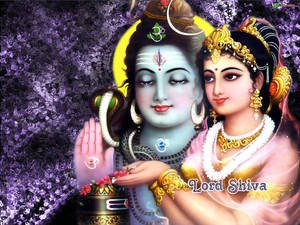 Digital Art Shiva Parvati Purple Backdrop Wallpaper