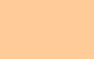 Digitally Painted Pastel Orange Aesthetic Wallpaper