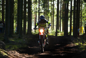 Dirtbike Through Forest Wallpaper