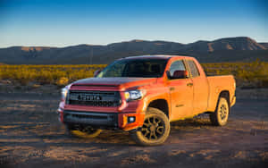 Dirty Orange Tundra Wallpaper