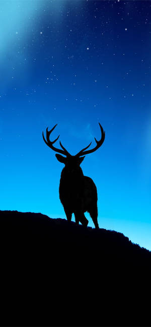 Discover Nature With Our Deer Iphone Wallpaper