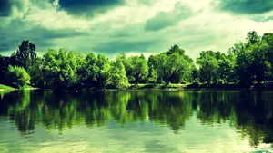 Discover Peace And Serenity In Nature Wallpaper