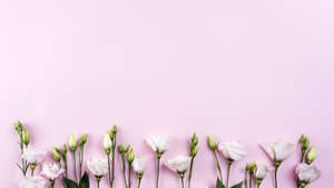 “discover The Beauty Of Spring With A Minimalist Approach.” Wallpaper