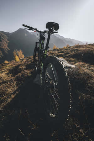 Discover The World Of Mountain Biking With An Iphone! Wallpaper