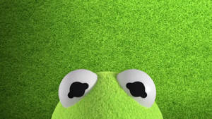 Disney Muppet Babies Half-faced Kermit Wallpaper