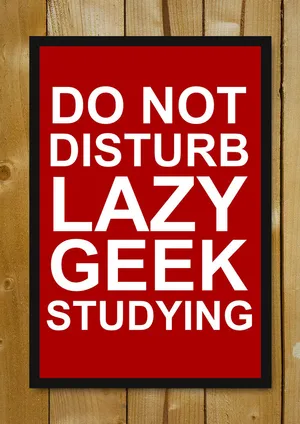 Do Not Disturb Lazy Geek Studying Wallpaper