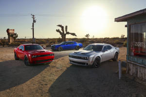 Dodge Challenger Color Variants Wallpaper