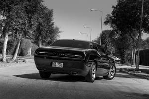 Dodge Challenger Greyscale Wallpaper