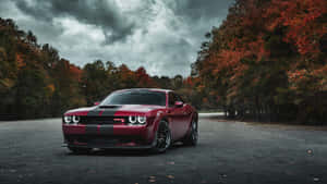 Dodge Challenger Srt Srt Srt Srt Srt Srt Srt Wallpaper