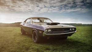 Dodge Challenger Vintage Muscle Car Wallpaper