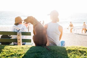 Dog And Best Friend At Beach Wallpaper