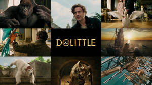 Dolittle Collage Wallpaper