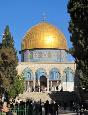 Dome Of The Rock Framed By Foliage Wallpaper