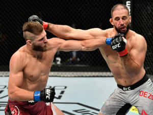 Dominick Reyes Preparing For Intensity In The Ring Wallpaper