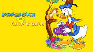 Donald Duck Vs Chip N Dale Rescue Rangers Wallpaper