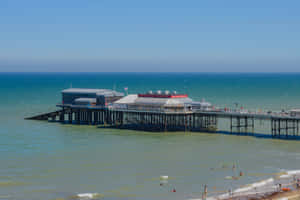 Don’t Let The End Of Summer Get You Down – Seize The Day! Wallpaper