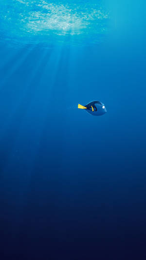 Dory In Finding Nemo Disney Iphone Wallpaper