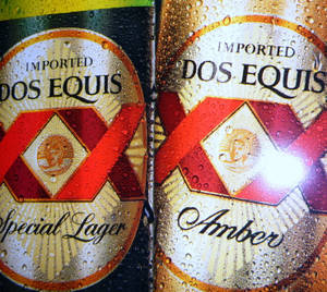 Dos Equis Wet Bottles Wallpaper