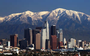 Downtown Los Angeles Skyline Wallpaper