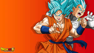 Dragon Ball Z Goku And Vegeta Super Saiyan Blue Wallpaper