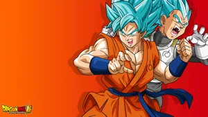 Dragon Ball Z Goku And Vegeta Super Saiyan Blue Wallpaper