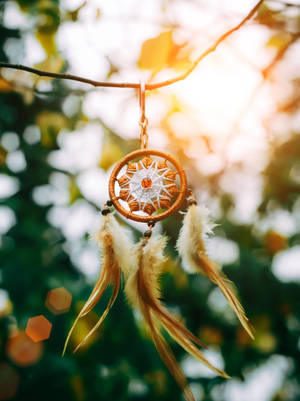 Dream Catcher Aesthetic Shallow Focus Wallpaper