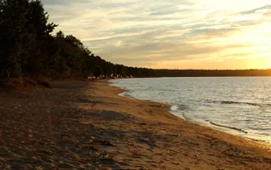 Dried Seaweed Sand Beach Desktop Wallpaper