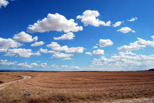 Dry Field Sky Background Wallpaper