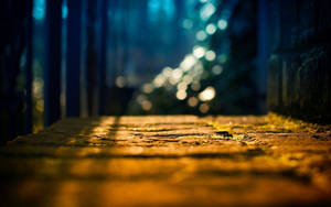 Dslr Blur Stone Path Wallpaper