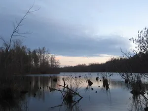 Duck Hunting Wallpaper