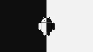 Dueling Shades - Half Black And Half White Wallpaper