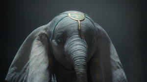 Dumbo With Headdress Wallpaper