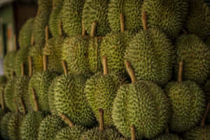 Durian Fruit Displayat Market Wallpaper