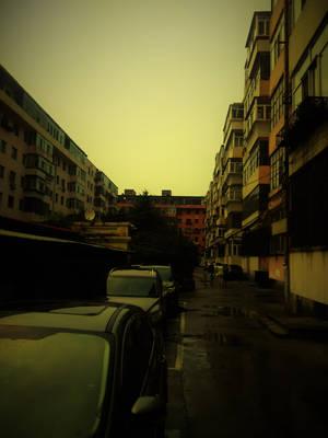 Dusk In Harbin Streets Wallpaper