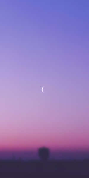 Dusky Sky And Pink Moon Wallpaper