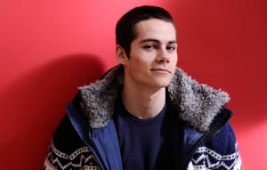 Dylan O'brien Clean Cut Wallpaper