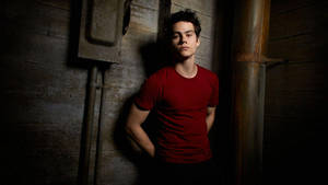 Dylan O'brien Red Shirt Wallpaper