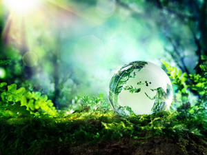 Earth Day Clear Globe Wallpaper